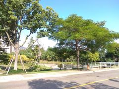 -厦门国家会计学院