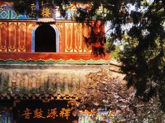 -洛阳白马寺
