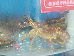 -叶存利海鲜大馅饺子(东戴河止锚湾店)
