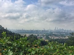 -火炉山森林公园