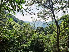 -海南热带雨林国家公园吊罗山景区