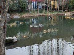 -天目湖涵田度假村