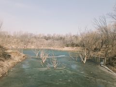 -绿堤公园