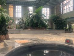 -白桦林温泉谷