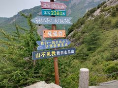 -朱雀国家森林公园
