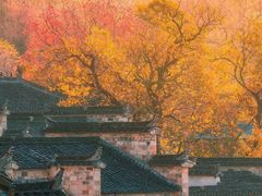 -塔川景区