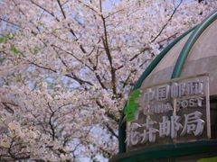 -南山植物园