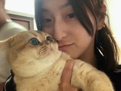 -东方名猫馆·英短金渐层布偶猫舍(环线广场1号楼店)