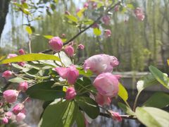 -元大都城垣遗址公园