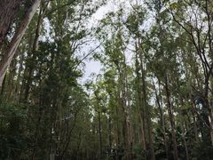 -南国桃园旅游度假区