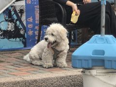 -青岛德国监狱旧址博物馆