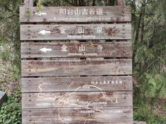 -阳台山自然风景区