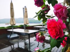 -湖畔居茶楼(湖滨店)