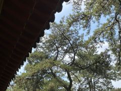 -承德避暑山庄景区