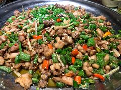 -正宗来凤鱼璧山兔(花卉园店)