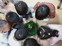 -贝乐多幼儿园(中北校区)