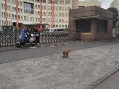 -上海市曹杨职业技术学校