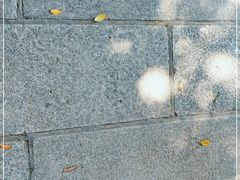 -悦城龙母祖庙