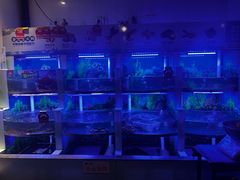 -七欣天香辣蟹火锅(武义壶山广场店)