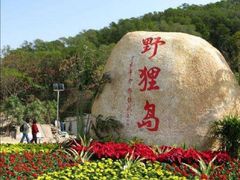 -野狸岛