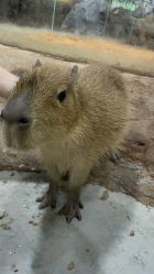 -Zoolung Zoolung动物主题公园(海信广场店)