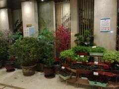大堂-苏淮景·苏闽融创菜·海鲜(原空港井河轩店)