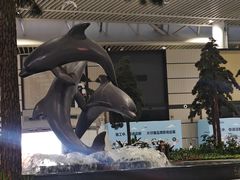 -青岛胶东国际机场