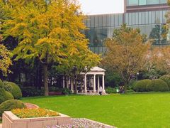 -静安公园(静安寺街道)