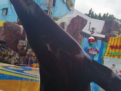 -海合安成都极地海洋公园