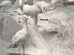 -中国湿地博物馆