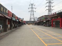 -中环花鸟鱼虫市场