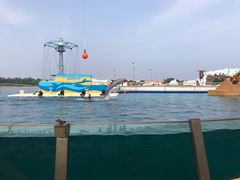 -秦皇岛乐岛海洋王国