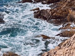 -广东惠东海龟国家级自然保护区