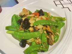 xo酱爆炒鲜贝-强记海鲜·大排档(蛇口新街店)