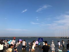 -碧海金沙
