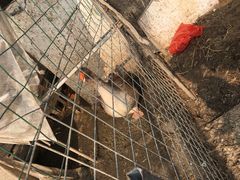-小鱼草莓采摘园农家乐·小鱼餐厅