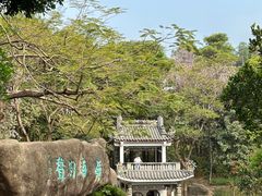 -深圳国际园林花卉博览园