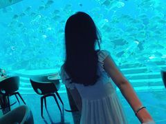 -亚特兰蒂斯•OSSIANO奥西亚诺海底餐厅