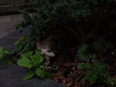 -宝通禅寺