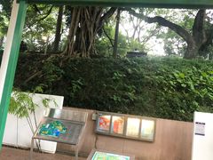 -九龙公园