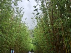-蝴蝶泉公园