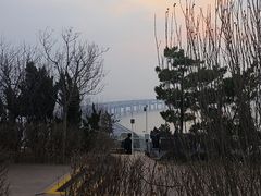 -星海湾跨海大桥
