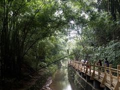 -凤栖山