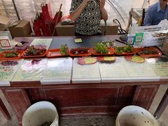 -马陆小张葡萄园农家乐