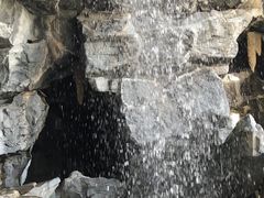 -桃花岛公园