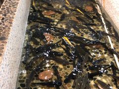 -白洋淀灶台鱼(名佳花园店)