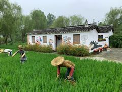 -溱湖国家湿地公园