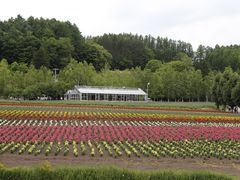 -富田农场