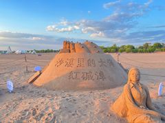-红碱淖景区