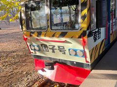 -秦皇岛野生动物园